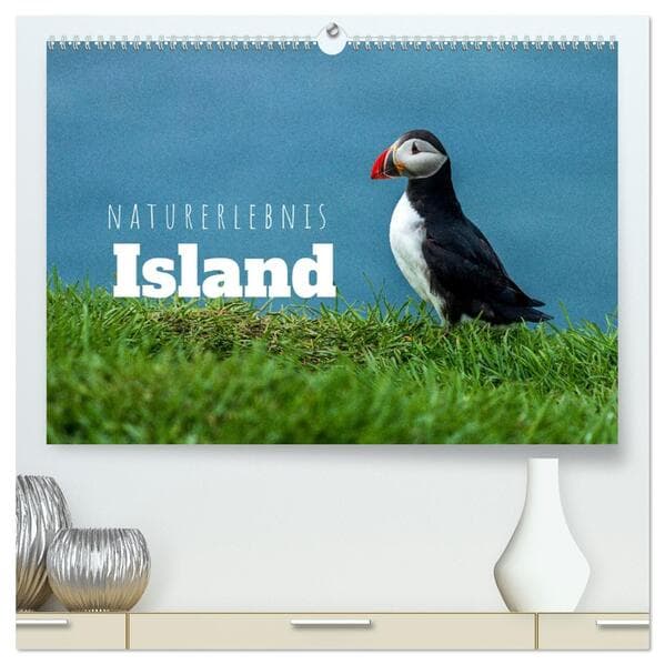 Naturerlebnis Island (hochwertiger Premium Wandkalender 2026 DIN A2 quer), Kunstdruck in Hochglanz: Panoramen der Insel aus Feuer und Eis