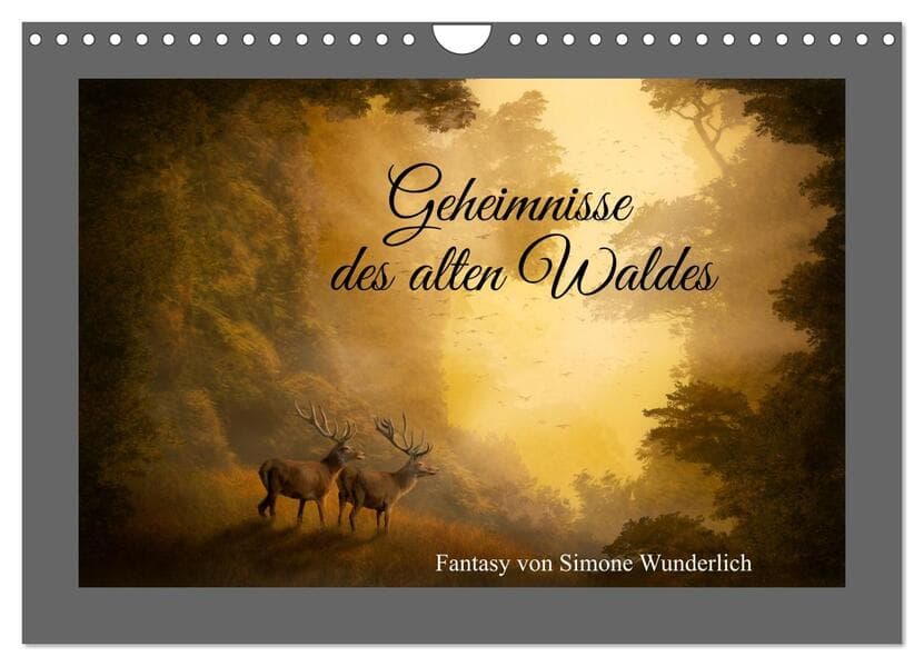 Geheimnisse des alten Waldes (Wandkalender 2026 DIN A4 quer), CALVENDO Monatskalender