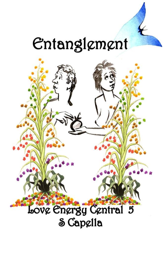 Entanglement (Love Energy Central, #5)