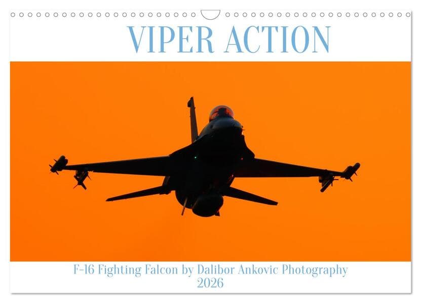 VIPER ACTION - F-16 FIGHTING FALCON (Wandkalender 2026 DIN A3 quer), CALVENDO Monatskalender