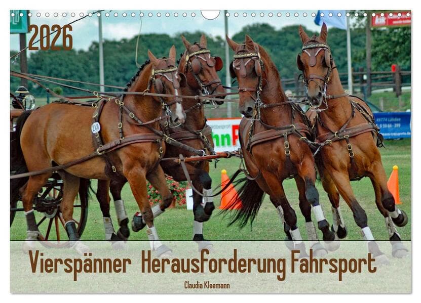Vierspänner Herausforderung Fahrsport (Wandkalender 2026 DIN A3 quer), CALVENDO Monatskalender