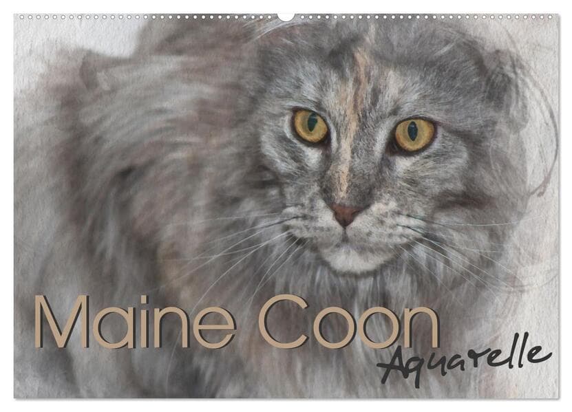 Maine Coon Aquarelle (Wandkalender 2026 DIN A2 quer), CALVENDO Monatskalender