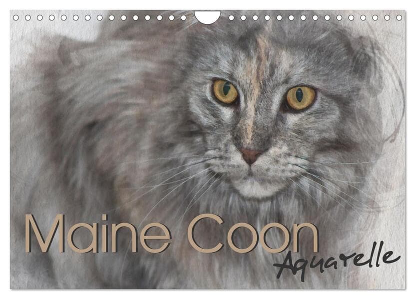 Maine Coon Aquarelle (Wandkalender 2026 DIN A4 quer), CALVENDO Monatskalender