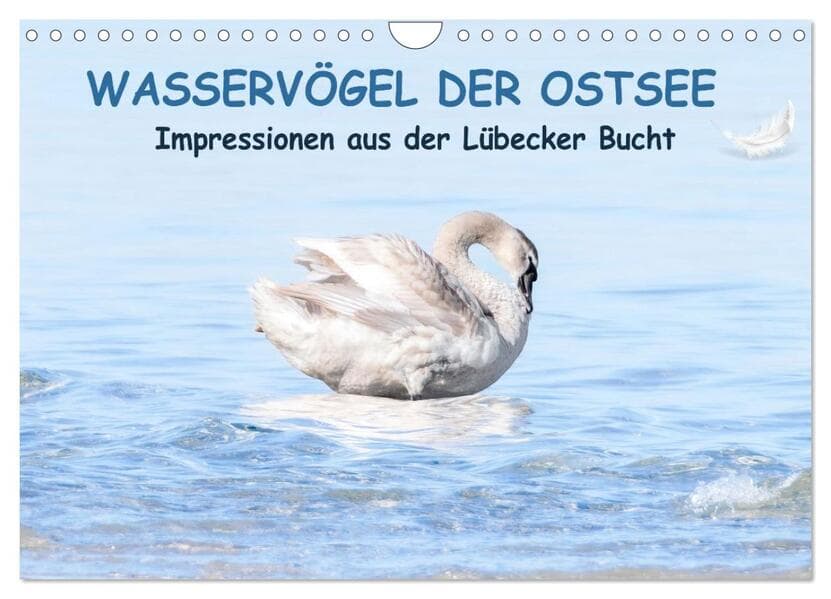Wasservögel der Ostsee - Impressionen aus der Lübecker Bucht (Wandkalender 2026 DIN A4 quer), CALVENDO Monatskalender