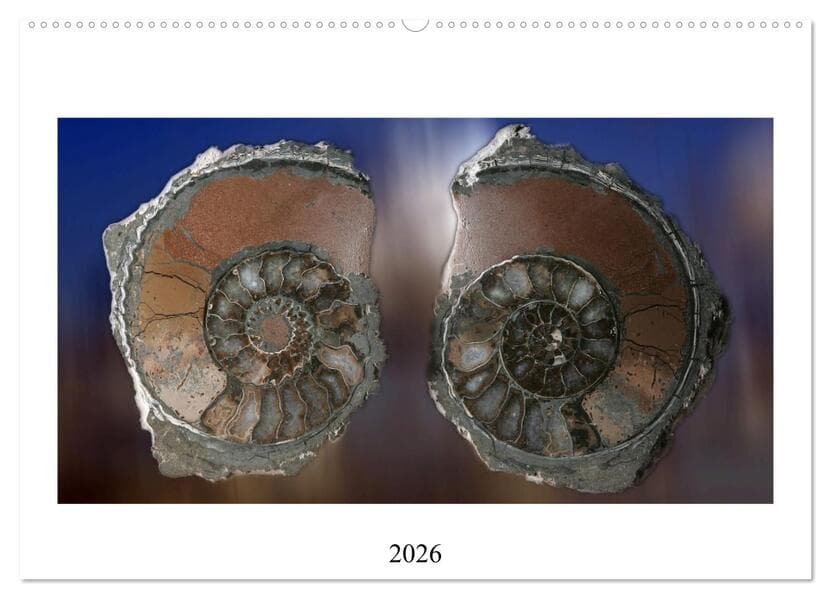 Versteinerte Welt (Wandkalender 2026 DIN A2 quer), CALVENDO Monatskalender
