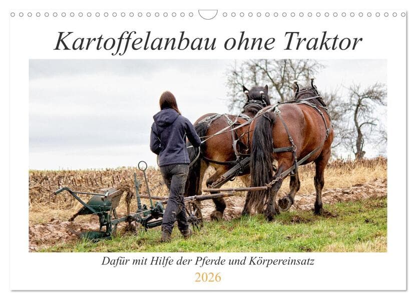 Kartoffelanbau ohne Traktor (Wandkalender 2026 DIN A3 quer), CALVENDO Monatskalender
