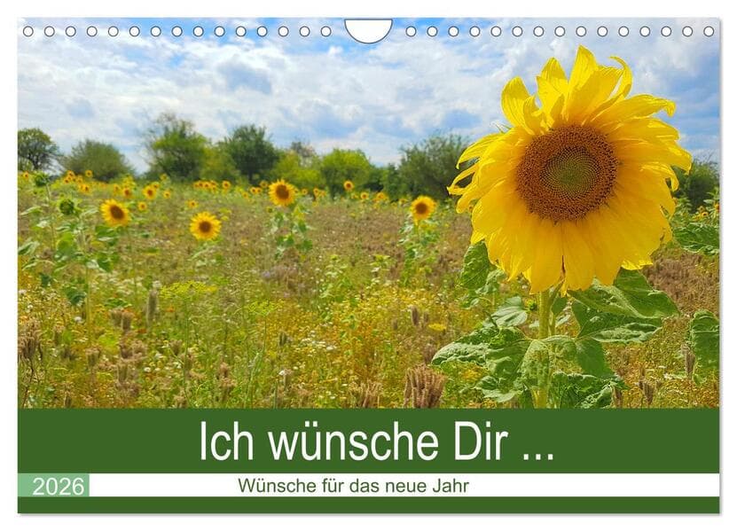 Ich wünsche Dir ... Wünsche für das neue Jahr (Wandkalender 2026 DIN A4 quer), CALVENDO Monatskalender