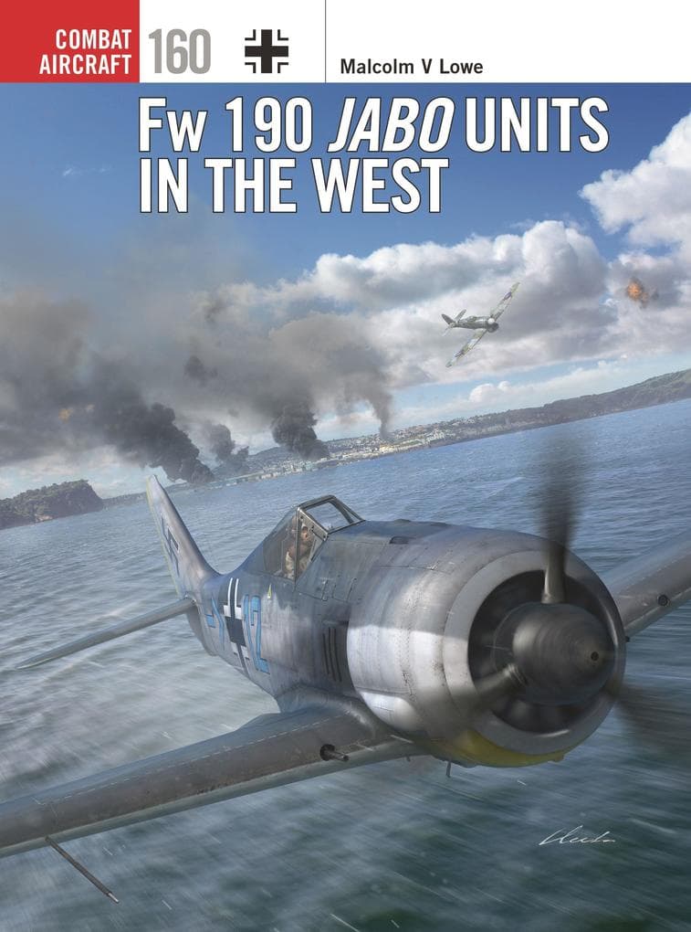 Fw 190 Jabo Units in the West