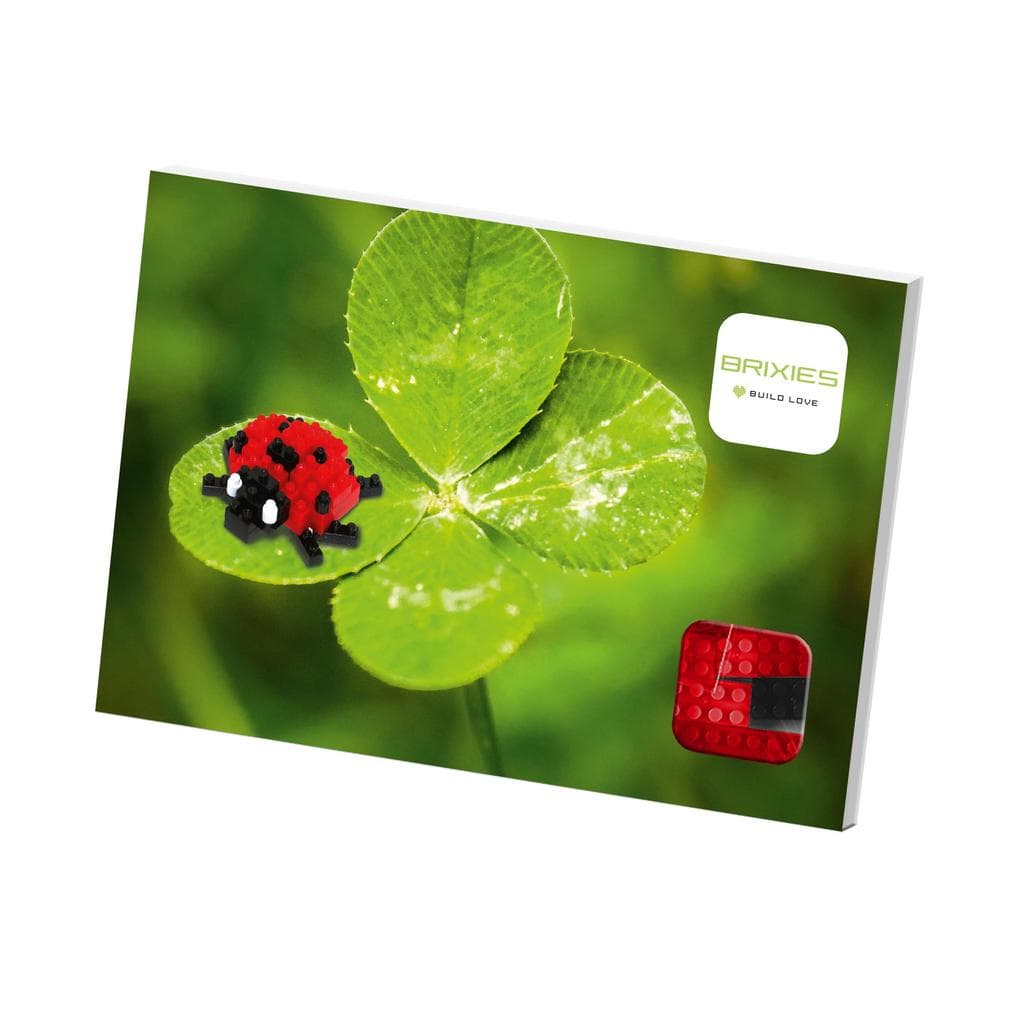 Brixies - Karte Marienkäfer