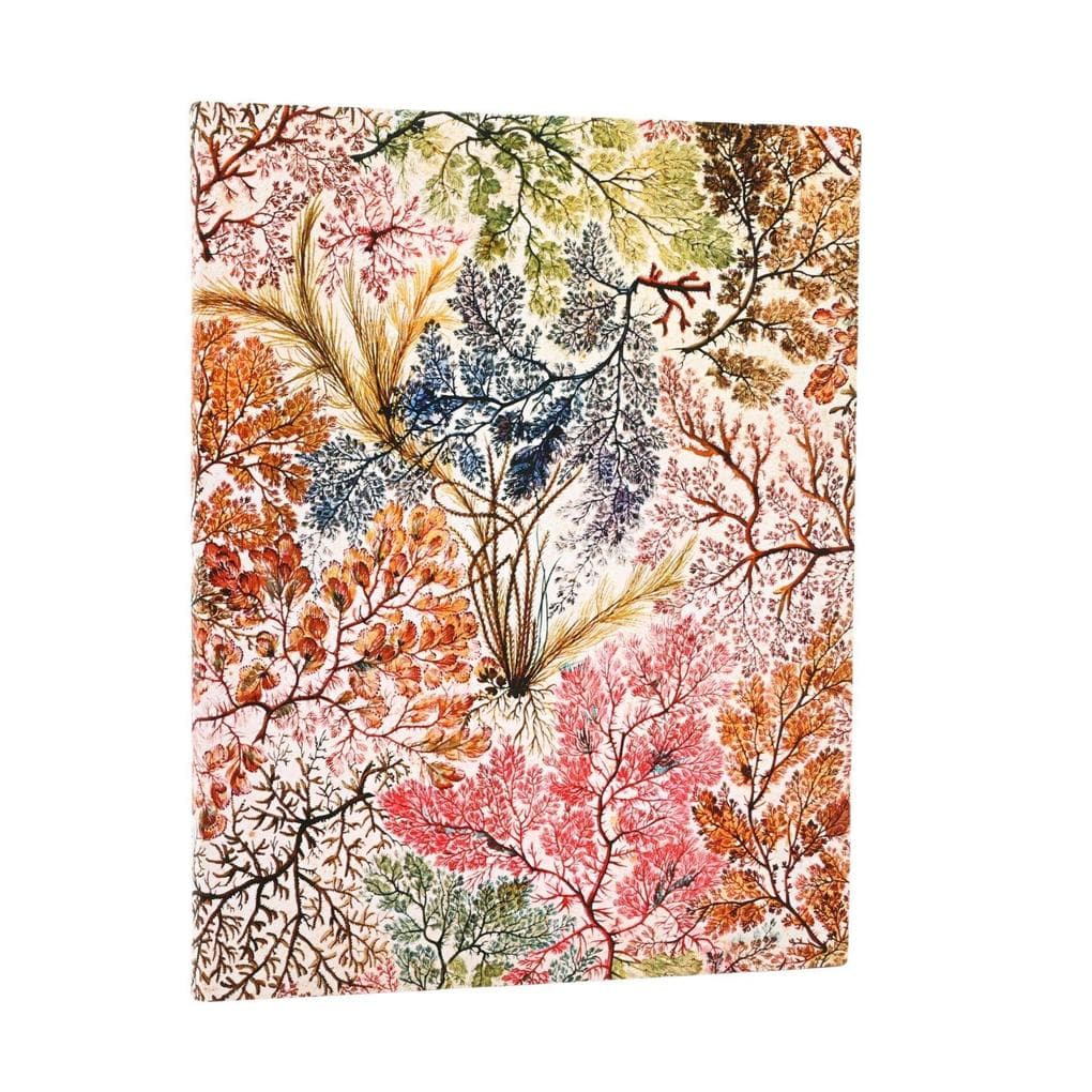 Anemone (William Kilburn) Ultra Unlined Softcover Flexi Journal (Elastic Band Closure)