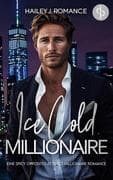 Ice Cold Millionaire   Eine spicy Opposites attract Millionaire Romance