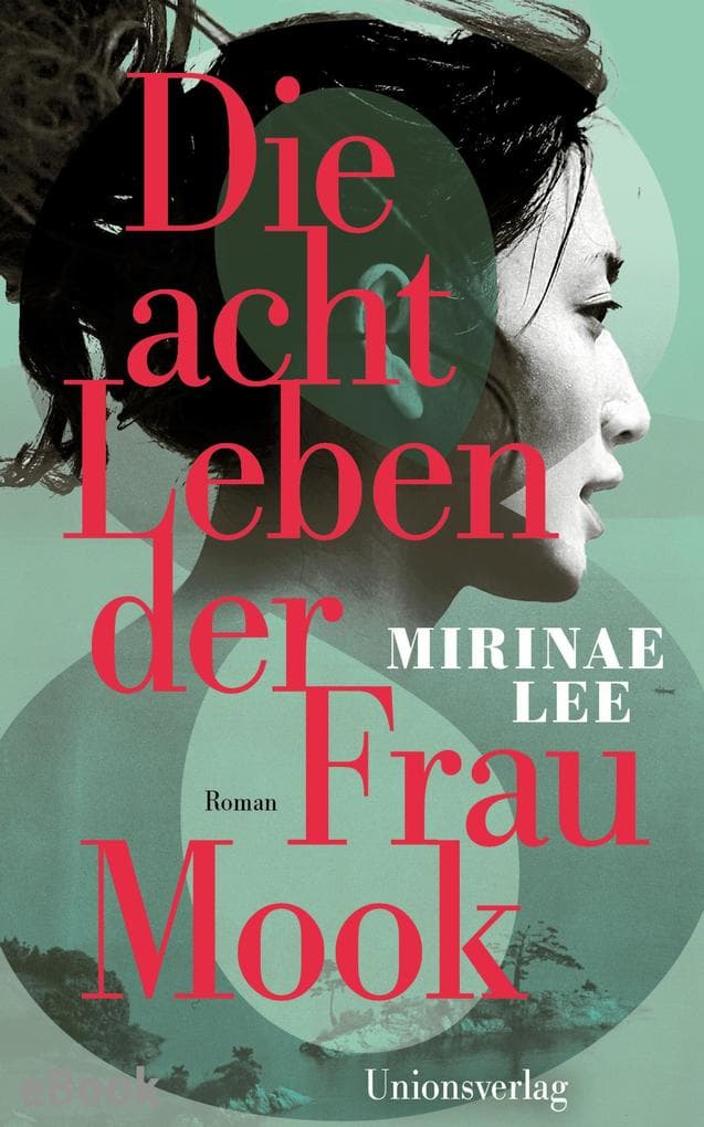 Die acht Leben der Frau Mook: Roman