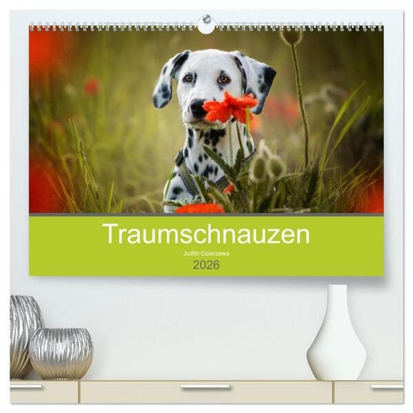 Traumschnauzen (hochwertiger Premium Wandkalender 2026 DIN A2 quer), Kunstdruck in Hochglanz