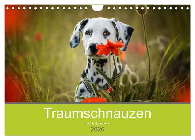 Traumschnauzen (Wandkalender 2026 DIN A4 quer), CALVENDO Monatskalender