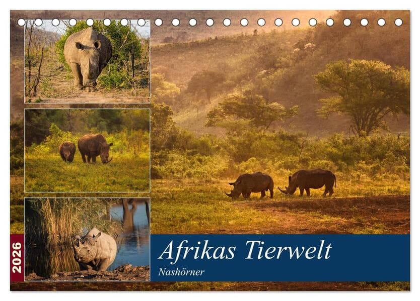 Afrikas Tierwelt: Nashörner (Tischkalender 2026 DIN A5 quer), CALVENDO Monatskalender