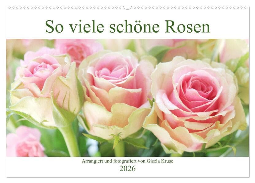 So viele schöne Rosen (Wandkalender 2026 DIN A2 quer), CALVENDO Monatskalender