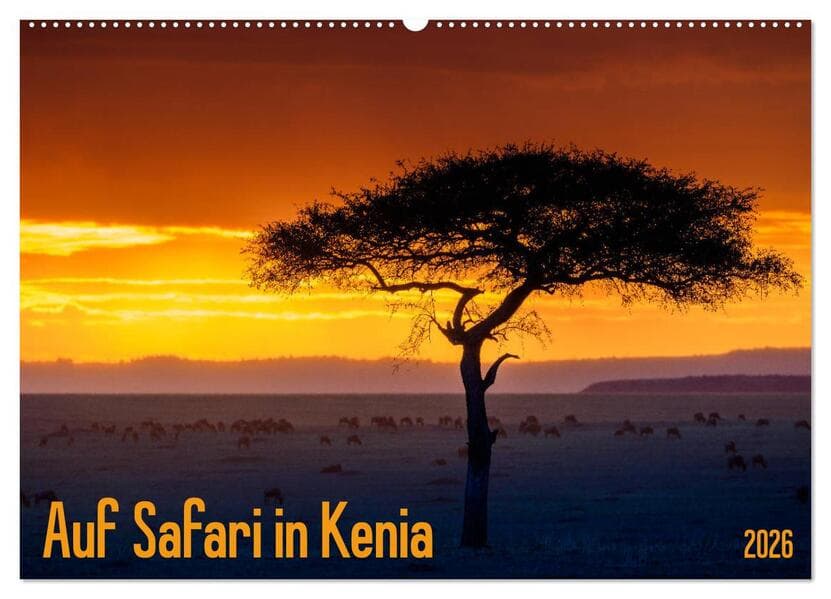 Auf Safari in Kenia 2026 (Wandkalender 2026 DIN A2 quer), CALVENDO Monatskalender