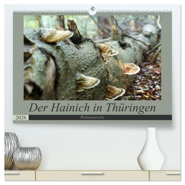 Der Hainich in Thüringen - Weltnaturerbe (hochwertiger Premium Wandkalender 2026 DIN A2 quer), Kunstdruck in Hochglanz