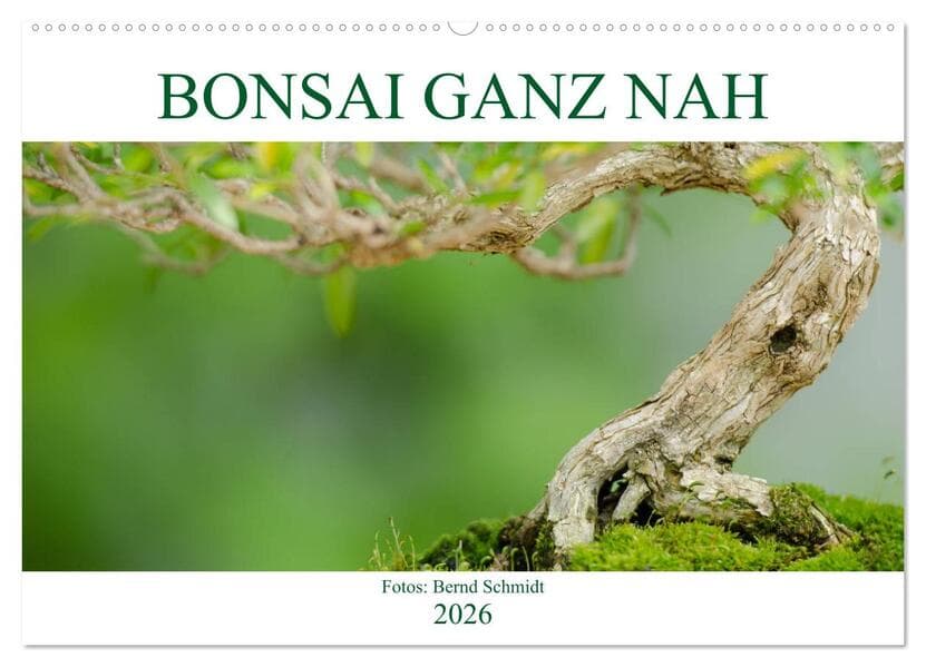 Bonsai ganz nah (Wandkalender 2026 DIN A2 quer), CALVENDO Monatskalender