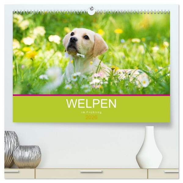 Welpen im Frühling (hochwertiger Premium Wandkalender 2026 DIN A2 quer), Kunstdruck in Hochglanz