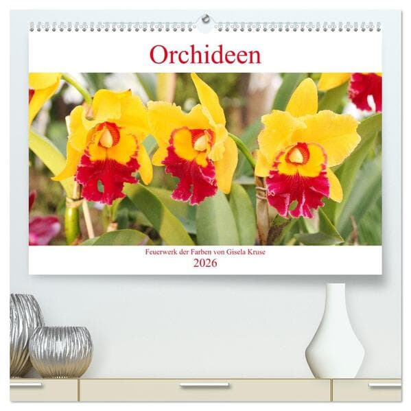 Orchideen Feuerwerk der Farben (hochwertiger Premium Wandkalender 2026 DIN A2 quer), Kunstdruck in H