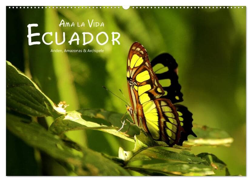 Ama la Vida Ecuador (Wandkalender 2026 DIN A2 quer), CALVENDO Monatskalender