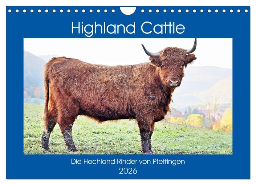 Highland Cattle, die Hochlandrinder aus Pfeffingen (Wandkalender 2026 DIN A4 quer), CALVENDO Monatsk
