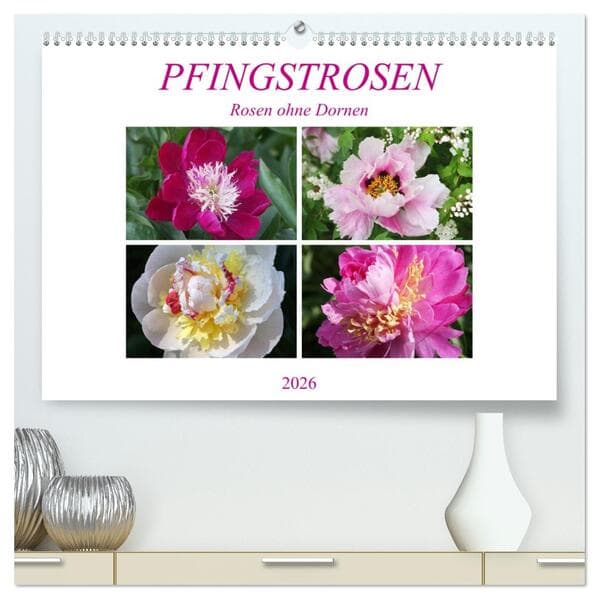 PFINGSTROSEN Rosen ohne Dornen (hochwertiger Premium Wandkalender 2026 DIN A2 quer), Kunstdruck in H