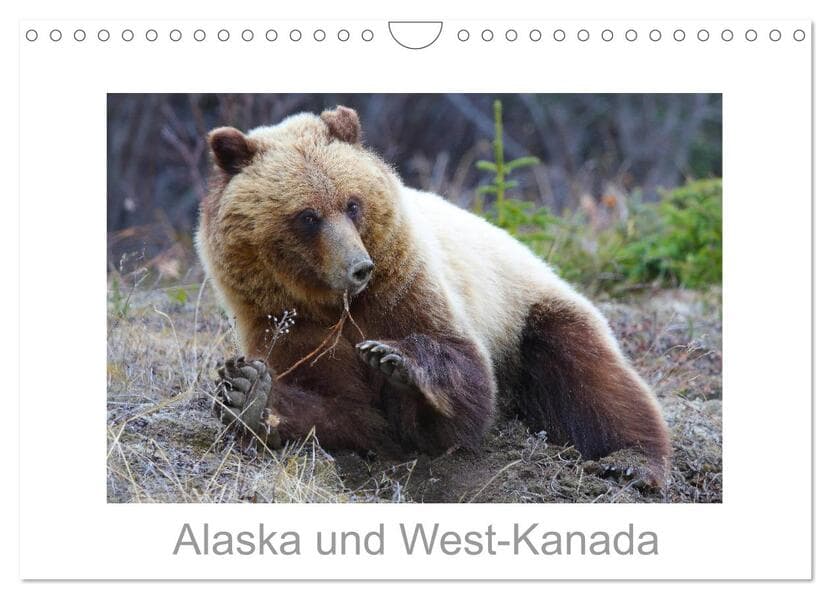 Alaska und West-Kanada (Wandkalender 2026 DIN A4 quer), CALVENDO Monatskalender