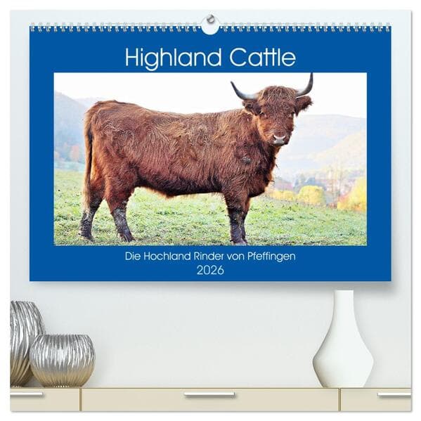 Highland Cattle, die Hochlandrinder aus Pfeffingen (hochwertiger Premium Wandkalender 2026 DIN A2 qu