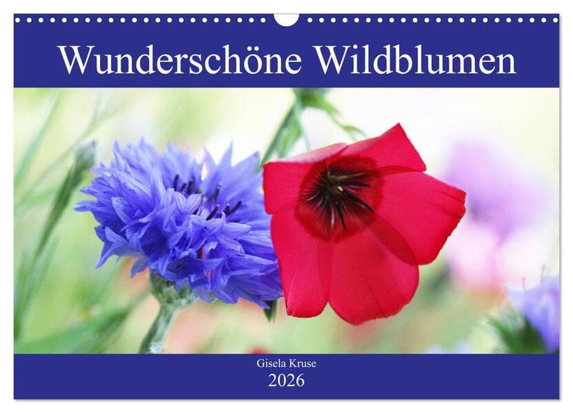 Wunderschöne Wildblumen (Wandkalender 2026 DIN A3 quer), CALVENDO Monatskalender