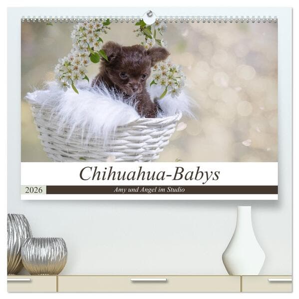 Chihuahua-Babys - Amy und Angel im Studio (hochwertiger Premium Wandkalender 2026 DIN A2 quer), Kunstdruck in Hochglanz