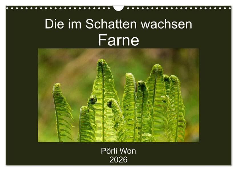 Die im Schatten wachsen - Farne (Wandkalender 2026 DIN A3 quer), CALVENDO Monatskalender