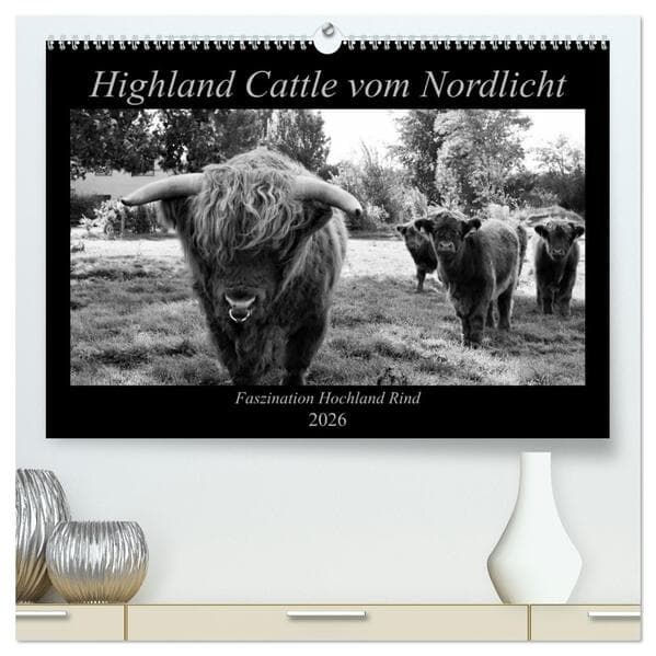 Highland Cattle vom Nordlicht - Faszination Hochland Rind (hochwertiger Premium Wandkalender 2026 DI
