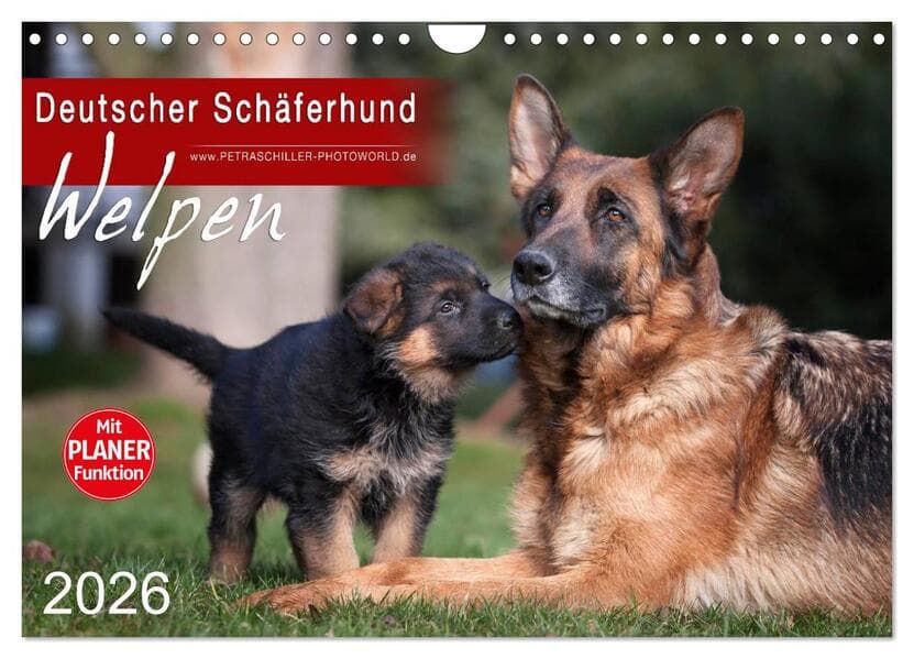Deutscher Schäferhund - Welpen (Wandkalender 2026 DIN A4 quer), CALVENDO Monatskalender