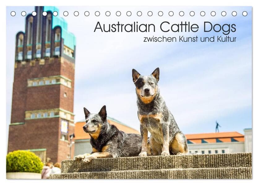 Australian Cattle Dogs zwischen Kunst und Kultur (Tischkalender 2026 DIN A5 quer), CALVENDO Monatska