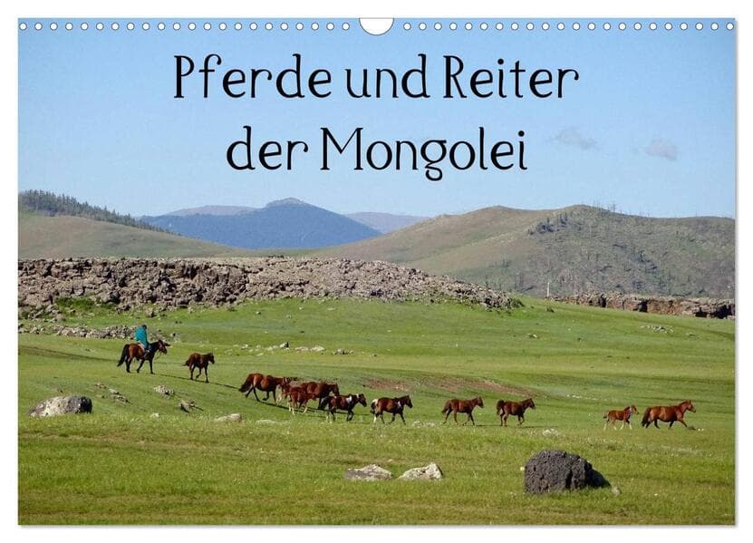 Pferde und Reiter der Mongolei (Wandkalender 2026 DIN A3 quer), CALVENDO Monatskalender