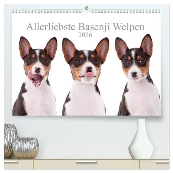 Allerliebste Basenji Welpen 2026 (hochwertiger Premium Wandkalender 2026 DIN A2 quer), Kunstdruck in
