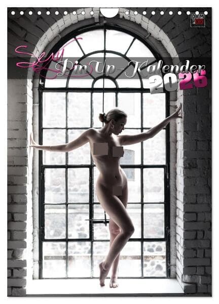 Sexy PinUp-Kalender 2026 (Wandkalender 2026 DIN A4 hoch), CALVENDO Monatskalender