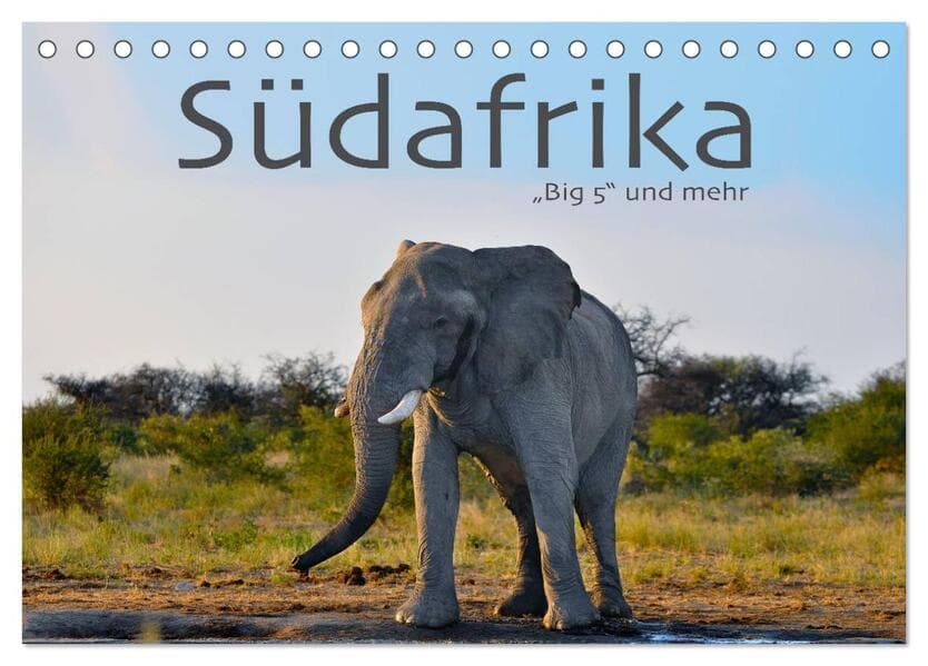 Südafrika - Big 5 und mehr (Tischkalender 2026 DIN A5 quer), CALVENDO Monatskalender