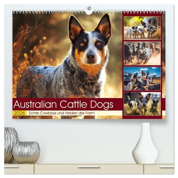 Australian Cattle Dogs. Echte Cowboys und Helden der Farm (hochwertiger Premium Wandkalender 2026 DI