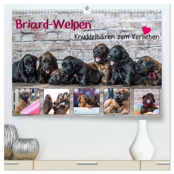 Briard-Welpen - Knuddelbären zum Verlieben (hochwertiger Premium Wandkalender 2026 DIN A2 quer), Kun