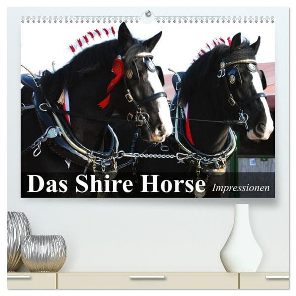 Das Shire Horse. Impressionen (hochwertiger Premium Wandkalender 2026 DIN A2 quer), Kunstdruck in Ho