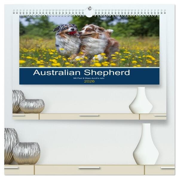 Australian Shepherd 2026 (hochwertiger Premium Wandkalender 2026 DIN A2 quer), Kunstdruck in Hochgla