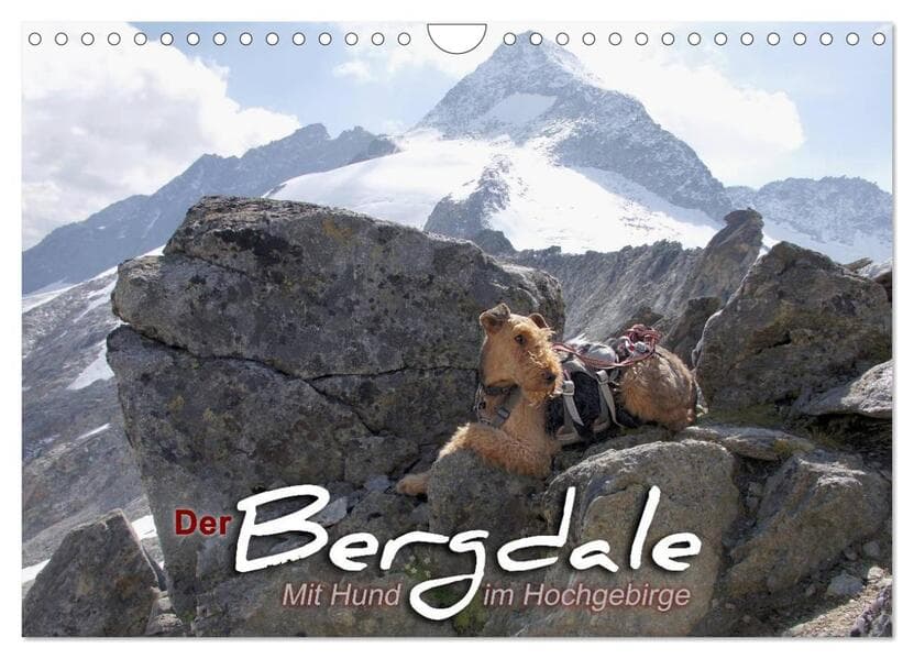 Der Bergdale - mit Hund im Hochgebirge (Wandkalender 2026 DIN A4 quer), CALVENDO Monatskalender