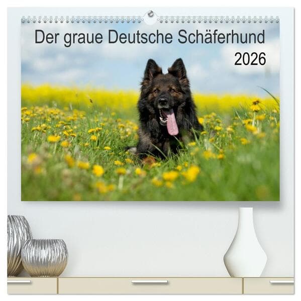 Der graue Deutsche Schäferhund (hochwertiger Premium Wandkalender 2026 DIN A2 quer), Kunstdruck in H