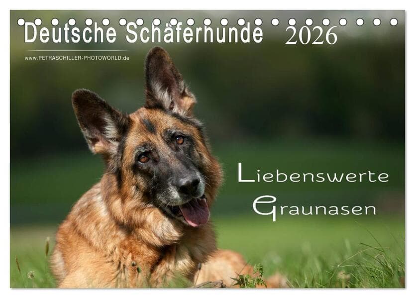 Deutsche Schäferhunde - Liebenswerte Graunasen (Tischkalender 2026 DIN A5 quer), CALVENDO Monatskale