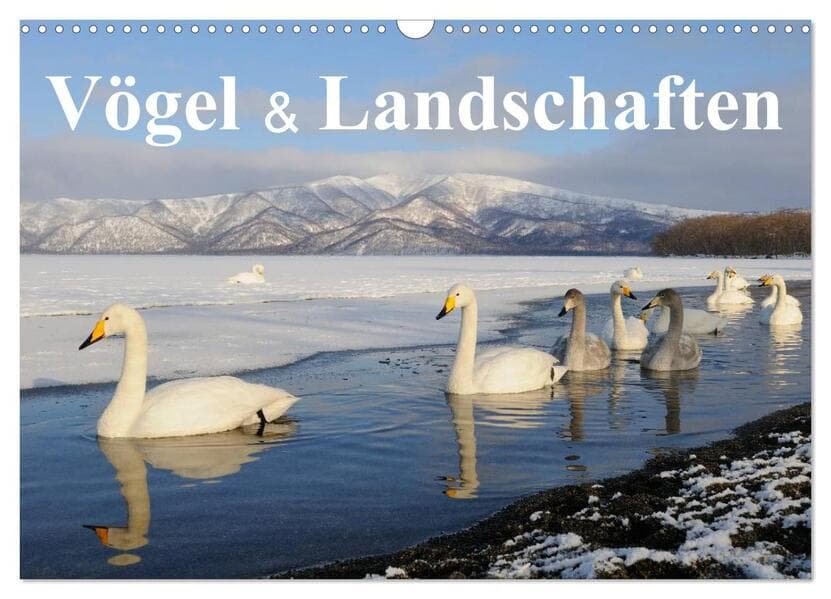 Vögel & Landschaften (Wandkalender 2026 DIN A3 quer), CALVENDO Monatskalender