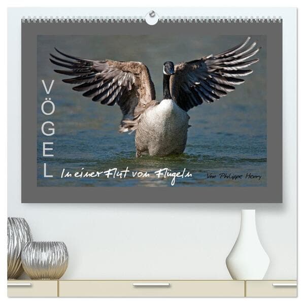 VÖGEL (hochwertiger Premium Wandkalender 2026 DIN A2 quer), Kunstdruck in Hochglanz