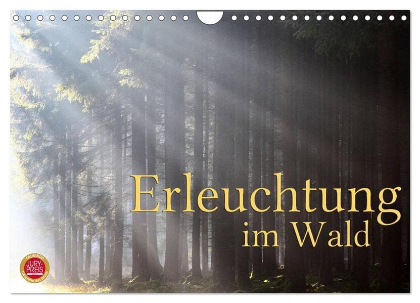 Erleuchtung im Wald (Wandkalender 2026 DIN A4 quer), CALVENDO Monatskalender